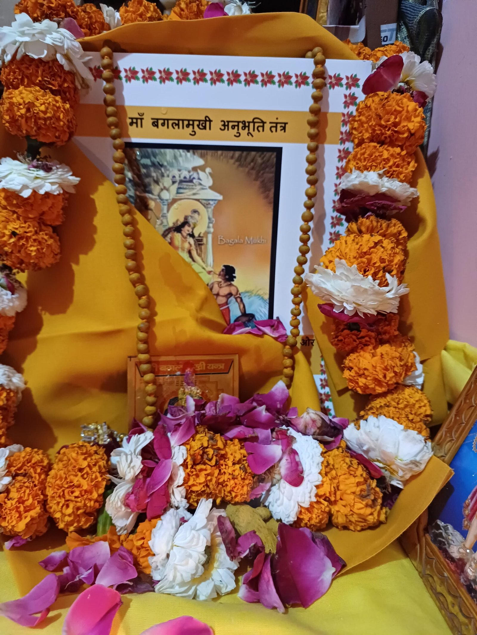 WhatsApp Image 2026-04-04 at 4.42.58 PM